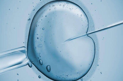 美国第一个试管婴儿叫什么