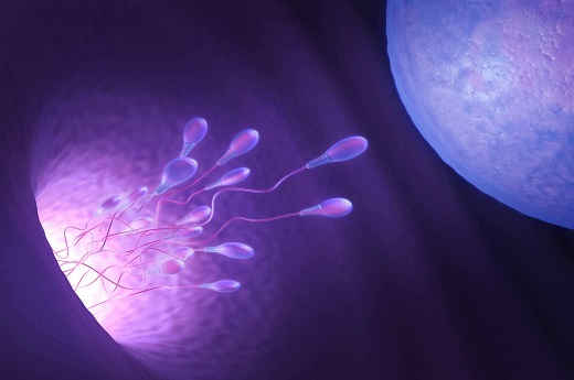 试管精子不一定要筛选，关键要看做几代