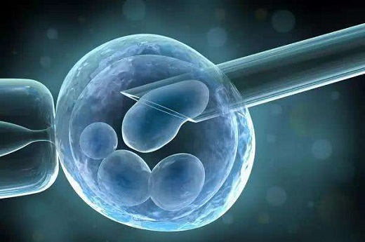 试管婴儿为什么还会胚胎停育