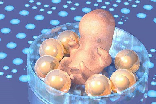 国内合法供卵有4大要求，卵巢早衰等人群可接受卵子做试管
