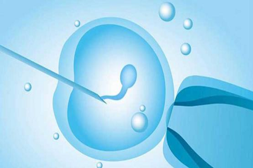 试管婴儿胚胎停育什么症状