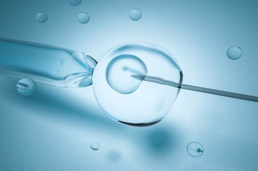 试管婴儿什么是生胚