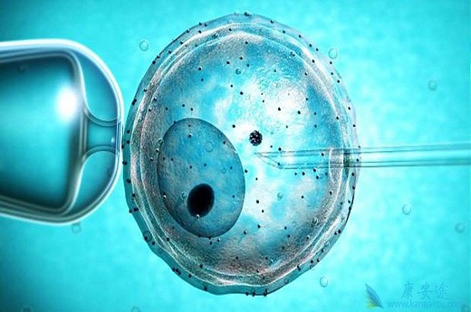 试管婴儿怎么取出胚胎？试管婴儿需要多少钱？