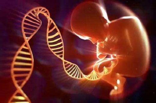 做双胞胎试管婴儿流程？卵巢早衰可以做试管婴儿吗？