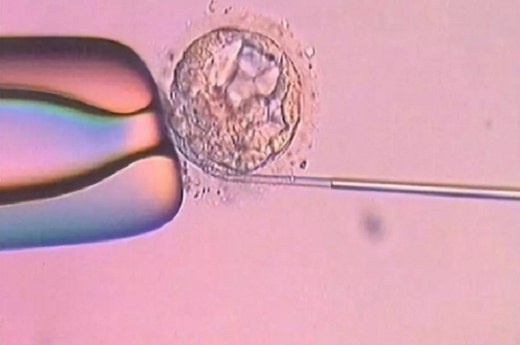 促排卵周期移植冻胎，冻胚移植流程是怎样的