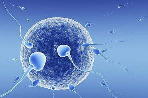 子宫后位对试管移植，子宫后位会影响试管婴儿成功率吗子宫后位是先天的吗