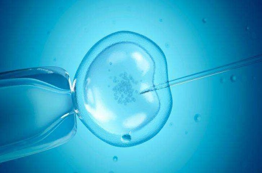 成都西囡试管婴儿成功率 成都西囡鲜胚移植成功率
