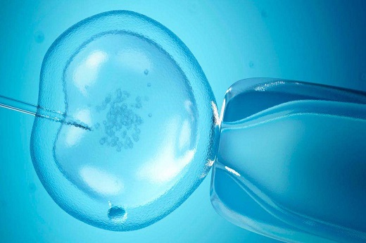 试管婴儿卵泡怎么发育？日本试管婴儿需要做检查？