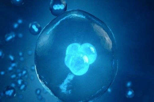 子宫输卵管导管固定位置 子宫输卵管造影术简介