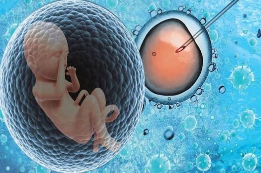 试管子宫形态b可以吗，试管婴儿卵泡少有影响吗