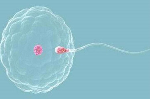 子宫内膜结核对胚胎有影响 得了子宫内膜结核还能生育吗