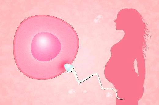 子宫畸形 输卵管扭曲？子宫畸形做什么检查呢