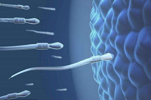 输卵管积水和子宫内膜异位 做试管发现输卵管积水该怎么办