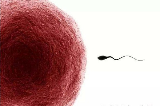 子宫息肉精子进不去，子宫内膜息肉能怀上孩子吗